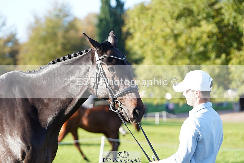 241026-101358-11700 - 051-Tommy.Greengard-BALLADEER.KILBRICKENS.LAD