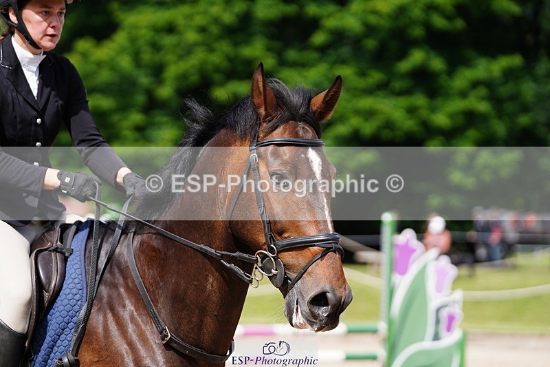 250615A-101944-10077 - Class 43 British Novice 90cm Open