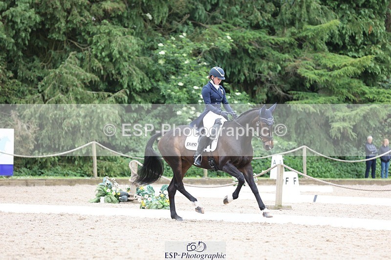 240524-164154-11099 - 372-PENCOS_CROWN_JEWEL-Millie_Juleff
