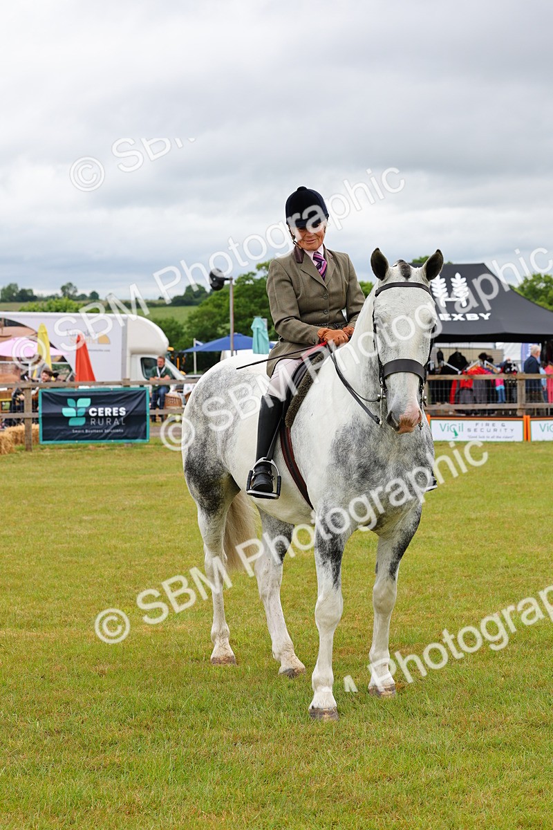 SBM_02664 - Class 9-11 Side Saddle including LIHS Rising Star Ladies Show Horse