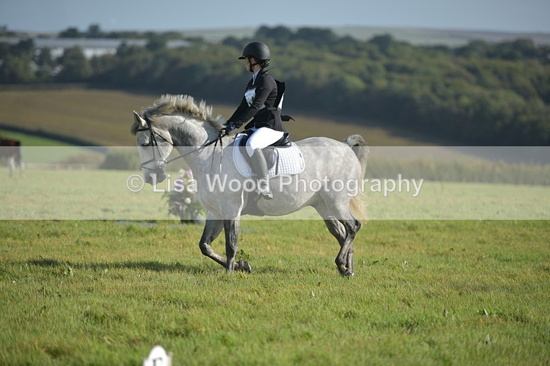RAY_7367 - Class 2B: Trekenning Open: Dressage