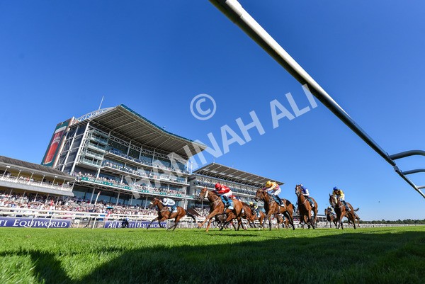110725-Race 6-Brazen Bolt-6901 - Race 6 5.07pm William Hill Keep Your Raceday Positive Handicap
