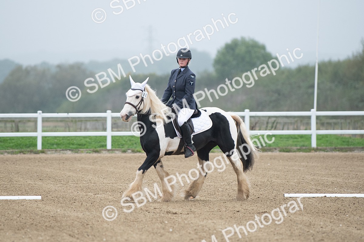 SBM_003375 - Introductory Test 3