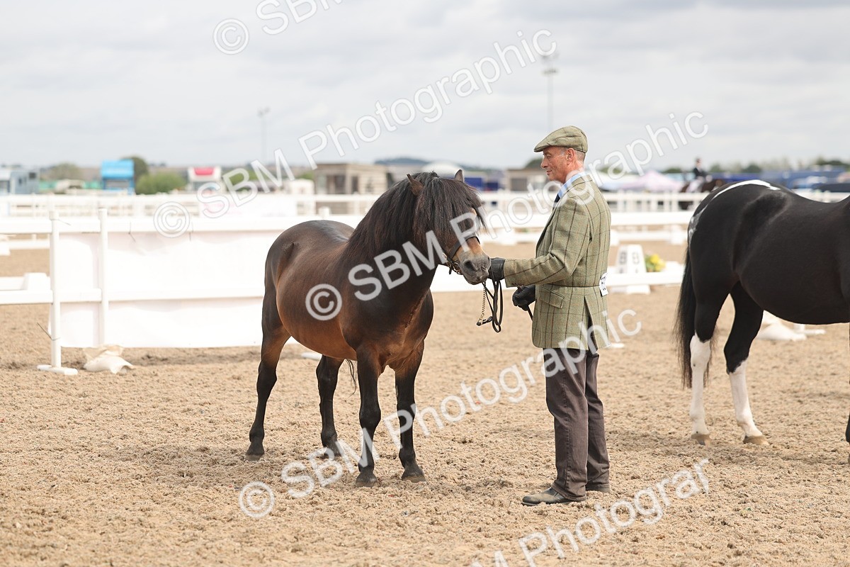 SBM_05021 - Class 20 - IH Veteran