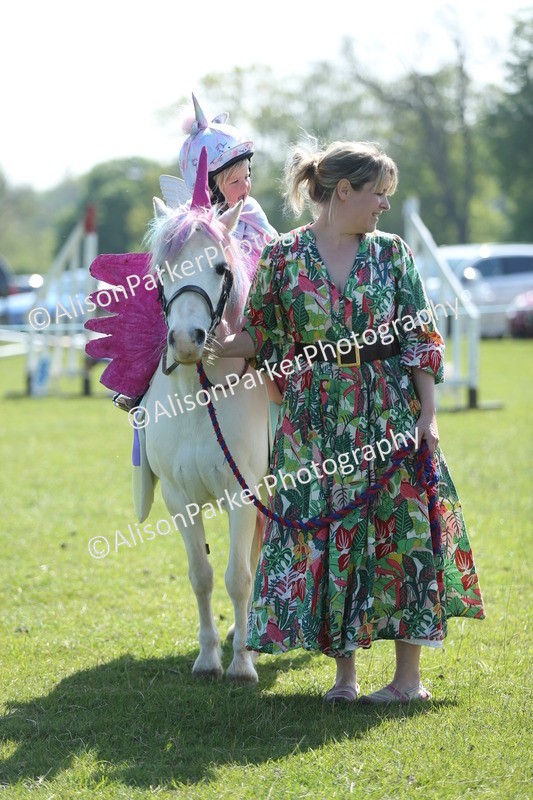 20250427-1783 - Class 5 - Fancy Dress