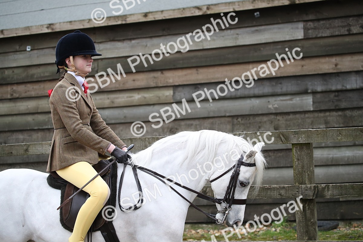 SBM_005885 - Class 10-13 - RIHS Small Large Breeds