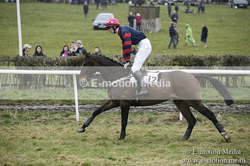 PtP 020418 -94 - Old Berks Point-to-Point Races Easter Monday 02/04/18