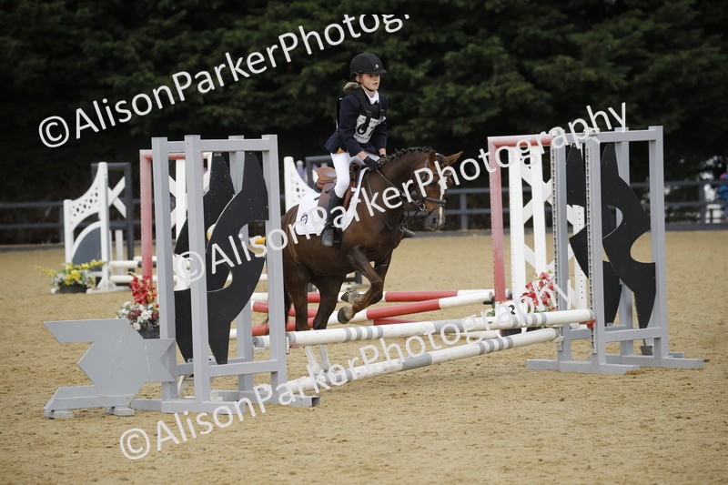 20250622-3701 - 50cm