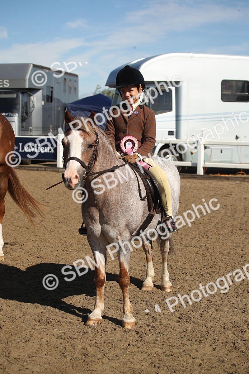 SBM_12792 - Class 504b - Junior Working Veteran - 40cm (20+)