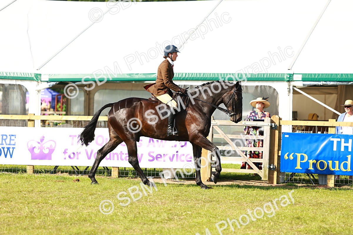 SBM_10892 - Class 66-69 - RIHS Ridden Hunters Inc Small Hunter