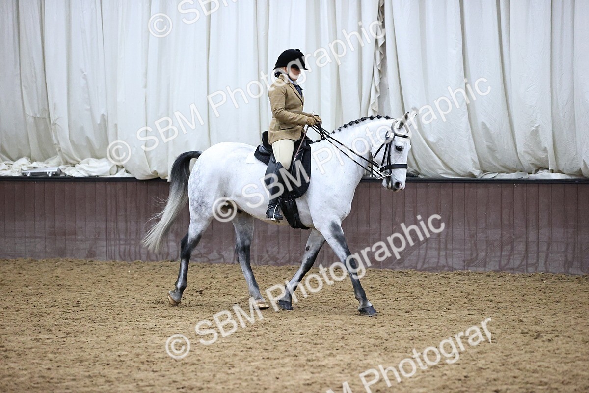 SBM_6337 - Class 45-42 - Ridden Irish Breeds-Ridden Cob