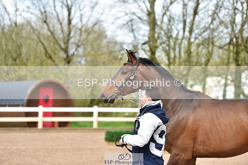 240417A-150044-00706 - 3pm to 4pm