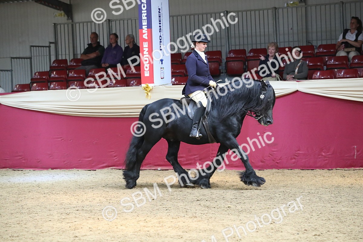 SBM_16280 - Class 502 M&M Ridden Supreme Final