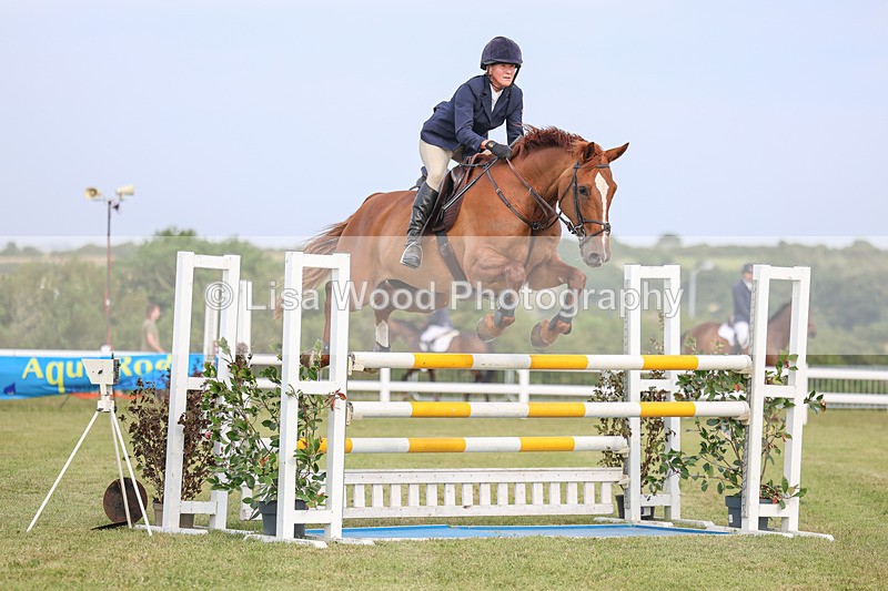 3E7A0866 - Class C: Showjumping Senior Foxhunter