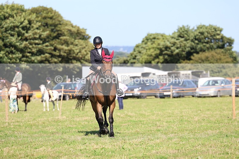 3E7A4444 - Class 1: Club 60cm