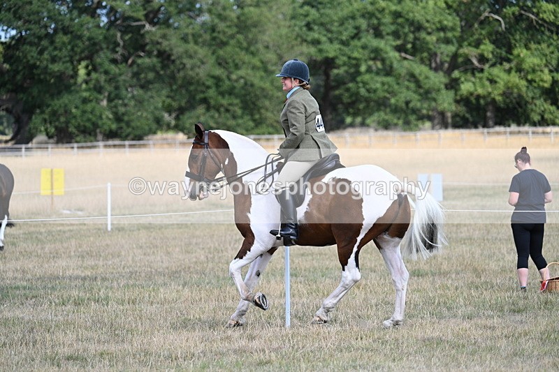 WJ7_7253 - Class 14 Ridden Coloured