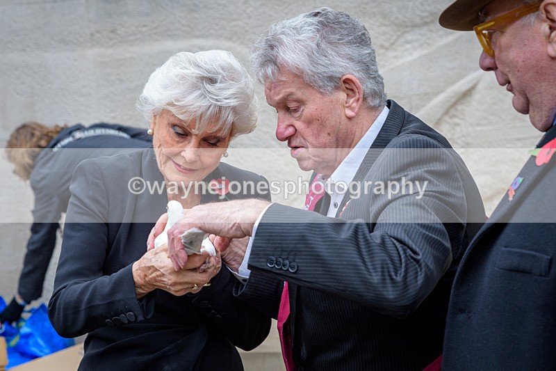 NGP_8128 - 2024 Animals in War Remembrance Gathering