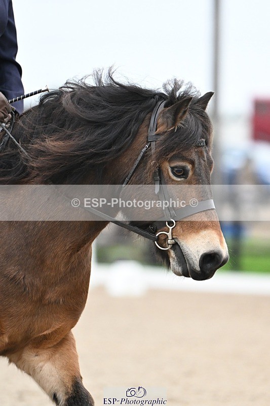 241103-084935-00070 - Intro 3 - 8.30 to 9.30