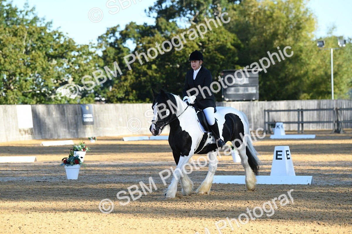 SBM_14438 - D4 - Small Tour Championship - Intro B