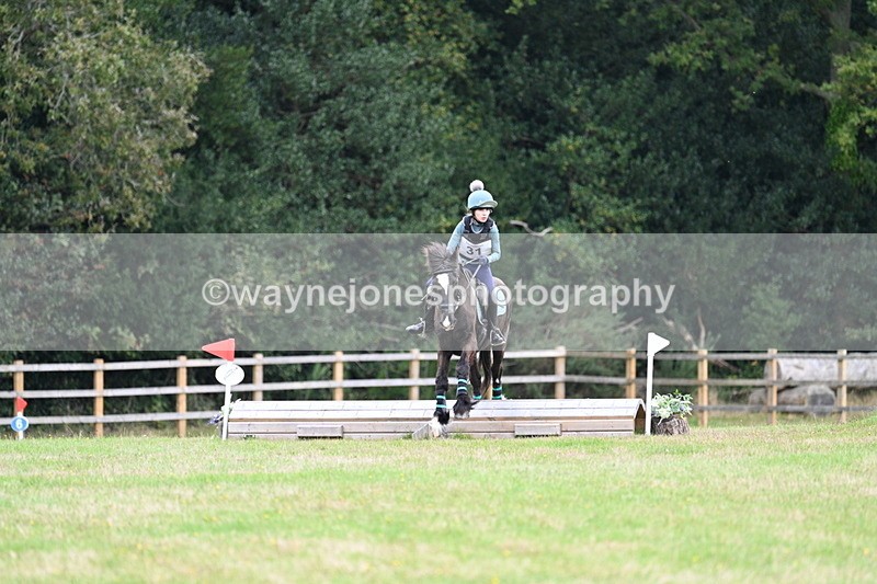 WJ7_7681 - 40cm Time 10:49 to 11:18