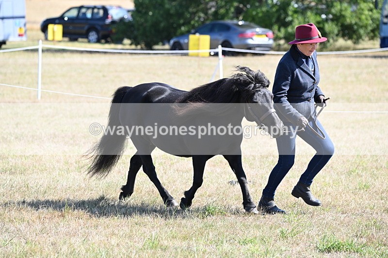 WJ6_4517 - Class 17 Mountain & Moorland