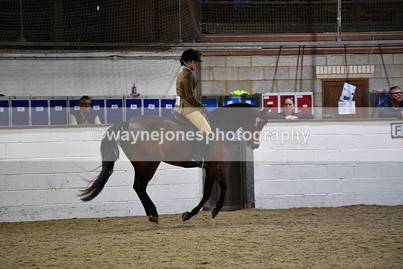 WJ5_8936 - Class 15 Ridden Show Horse