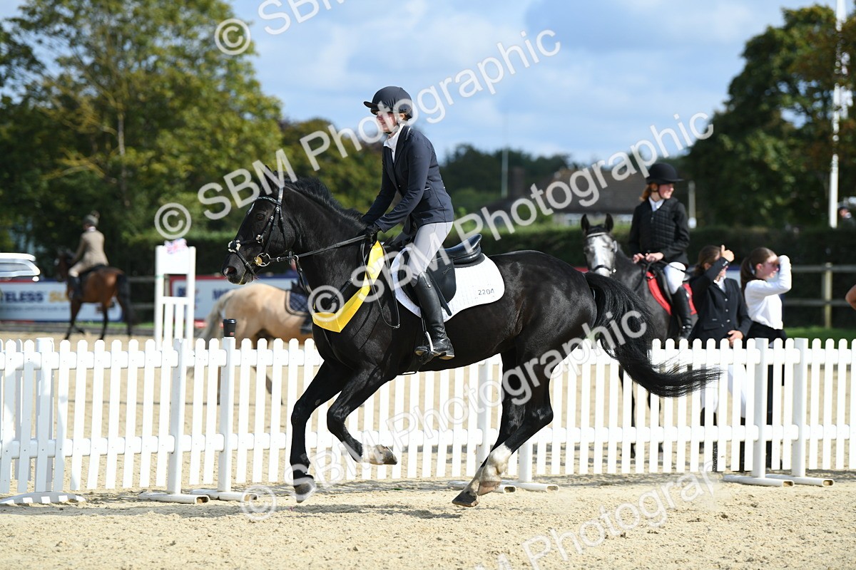 SBM_61827 - j25 - Junior Horse 80cm Championship