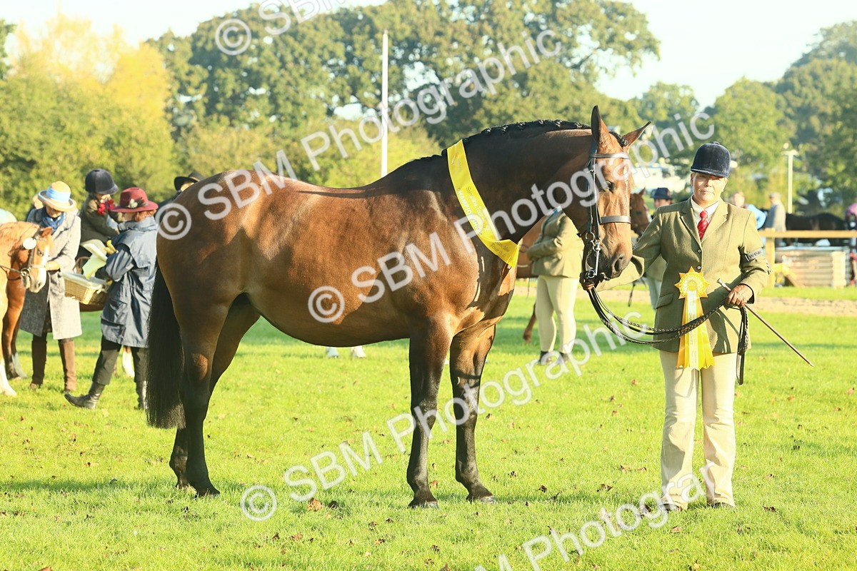 SBM_56742 - S36 - Starters Best Turnout