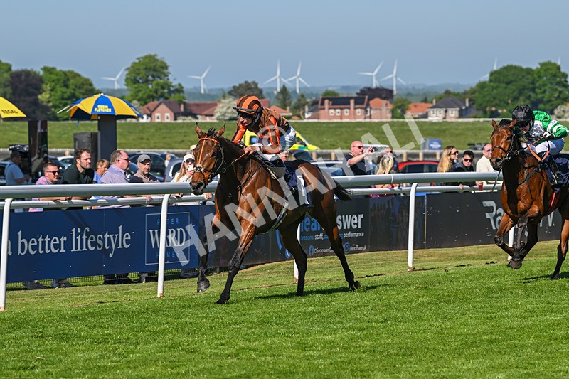 130525-Race 6-Analogical-0423 - Race 6