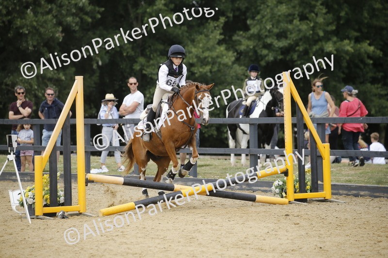 20250622-4634 - 50cm