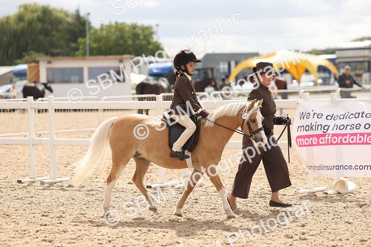 SBM_15757 - Class 309 - Lead Rein Pony