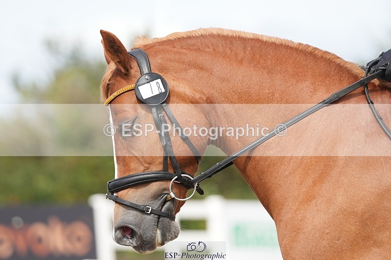 250906-121035-02261 - 078-Sarah.MillerPiper.V