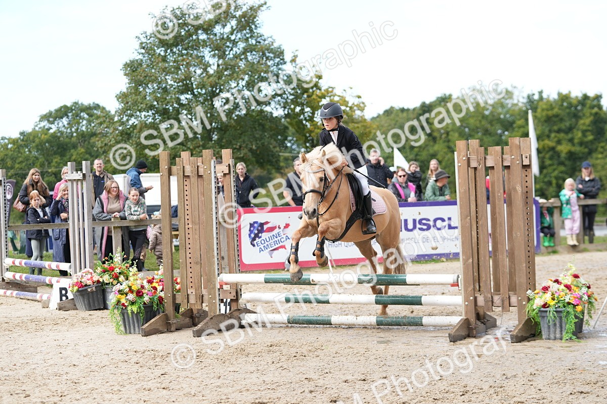 SBM_40045 - J6 - Junior Pony 55cm Championship