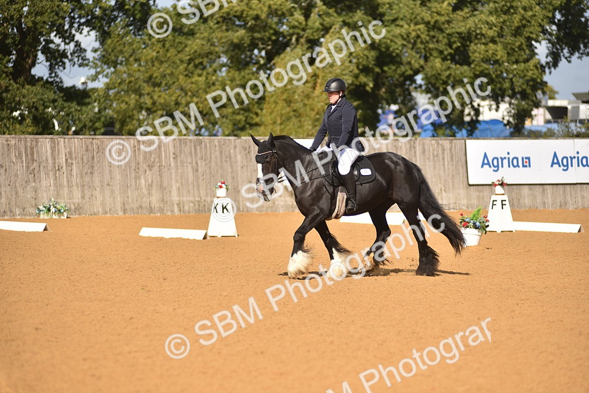 SBM_03009 - D4 - Small Tour Championship Intro 4