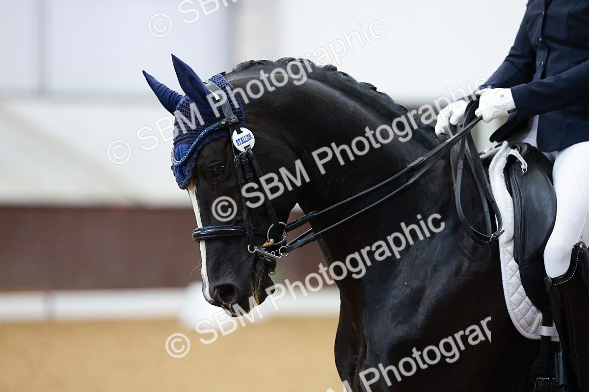 SBM_003906 - Class 1 - M5