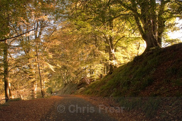  - Around Sanquhar