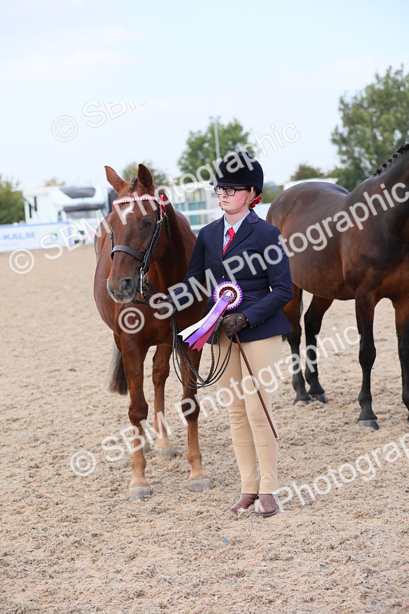 SBM_15880 - Class 312 IH Competition Horse/Pony