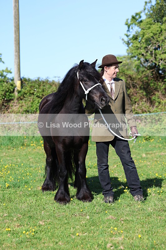 3E7A8601 - Class 13: M & M Large Breeds