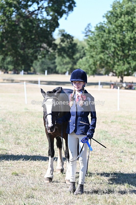 WJ7_1934 - Class 43 Best Six Legs (In hand)