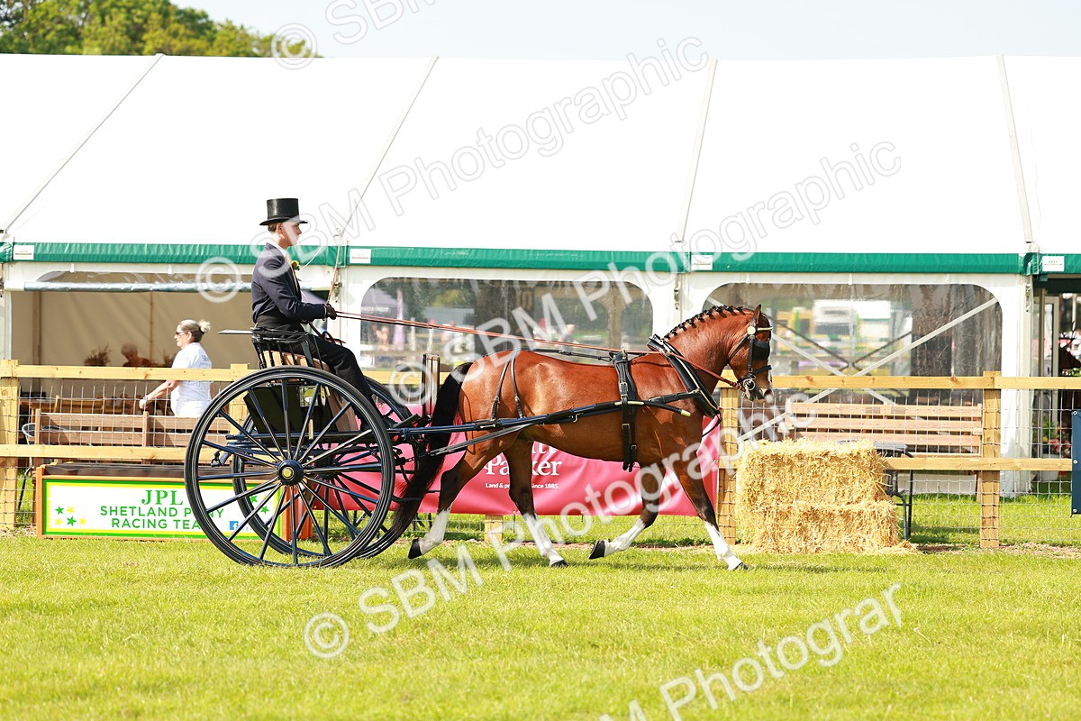 SBM_02560 - Class 2-4 - HOYS Private Driving