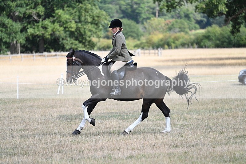 WJ7_6053 - Class 13 Ridden Veterans