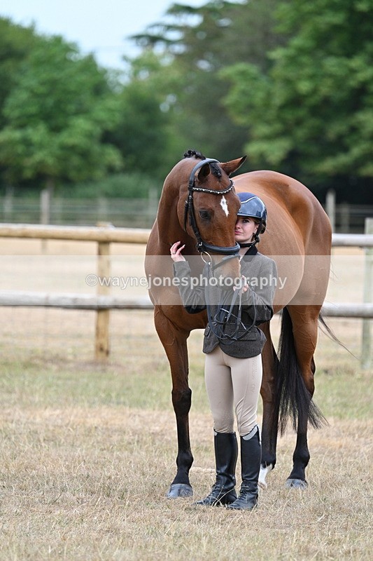 WJ7_0015 - Class 5a Most Handsome Gelding (above 14.2hh)