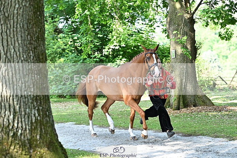 250521A-162249-01097 - C-217-Polly.Kilgour-RENKUM.LADY.VOS