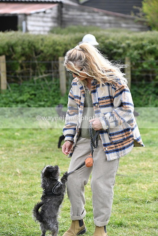 WJ5_9342 - Class 1 Best Cross Breed / Heniz 57