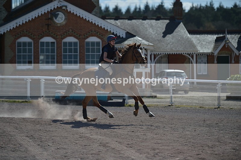 NGP_7996 - XC Time 13:22 to 13:28