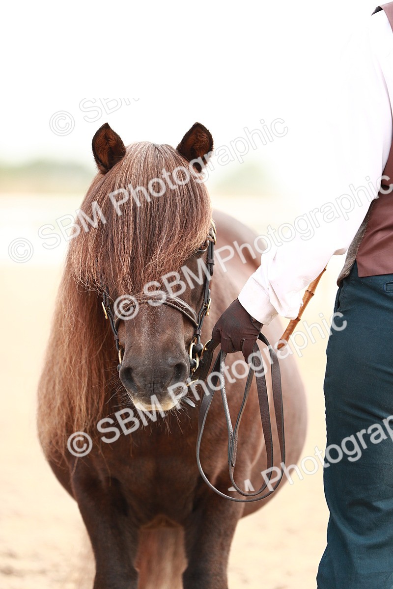 SBM_09550 - Class 201 Best Turned Out IH