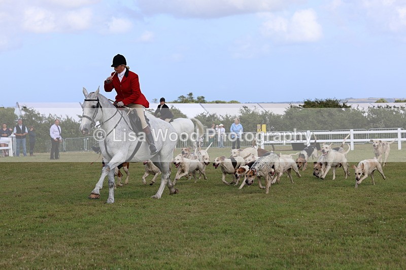 3E7A3454 - Parade of Hounds