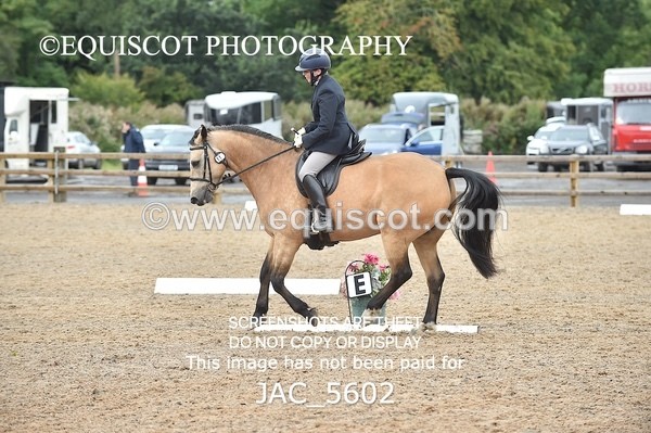 JAC_5602 - NOVICE 4