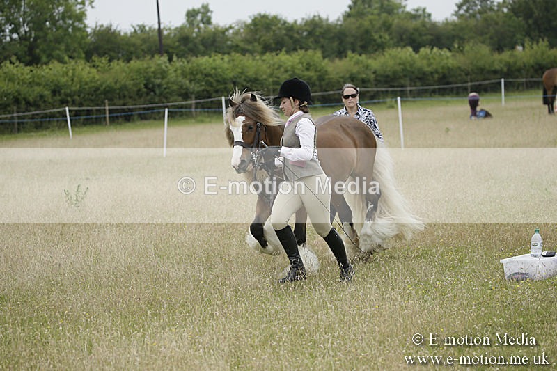 B230619-0740 - Bourne Valley Riding Club Summer Show 23/06/19