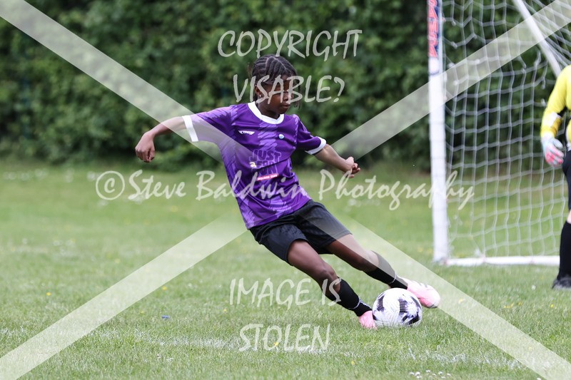 1DX31087 - Brook Field V Goddard Park